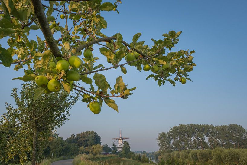 Mill at apple tree by Moetwil en van Dijk - Fotografie