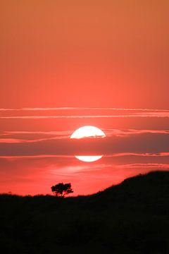 Sunset van Debby Bierman