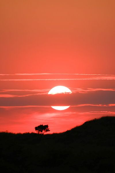 Sunset by Debby Bierman