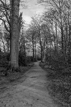 Photo en noir et blanc d'un sentier de randonnée sur Brian Bonckaert Fotografie