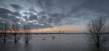 Overstroming uiterwaarden bij PW Alexanderbrug Echteld