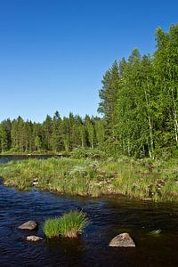 L'été sur la rivière