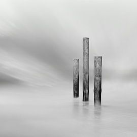 Palendorp Petten - 1 by Martin van Lochem