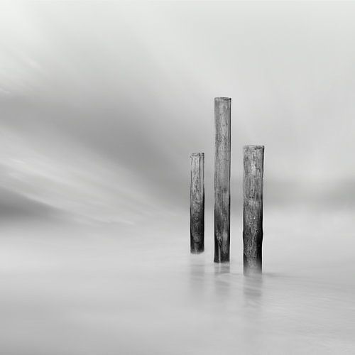 Palendorp Petten - 1