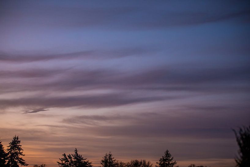 Ochtendlucht van t.ART
