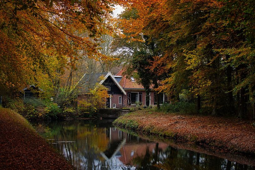 cabin in the woods by peterheinspictures