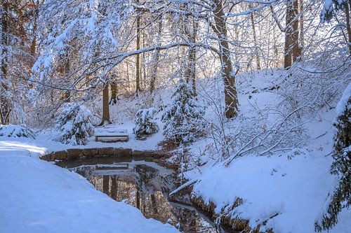 WINTERTIJD : WINTERLANDSCHAP