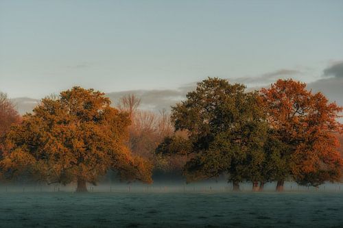 Herfst