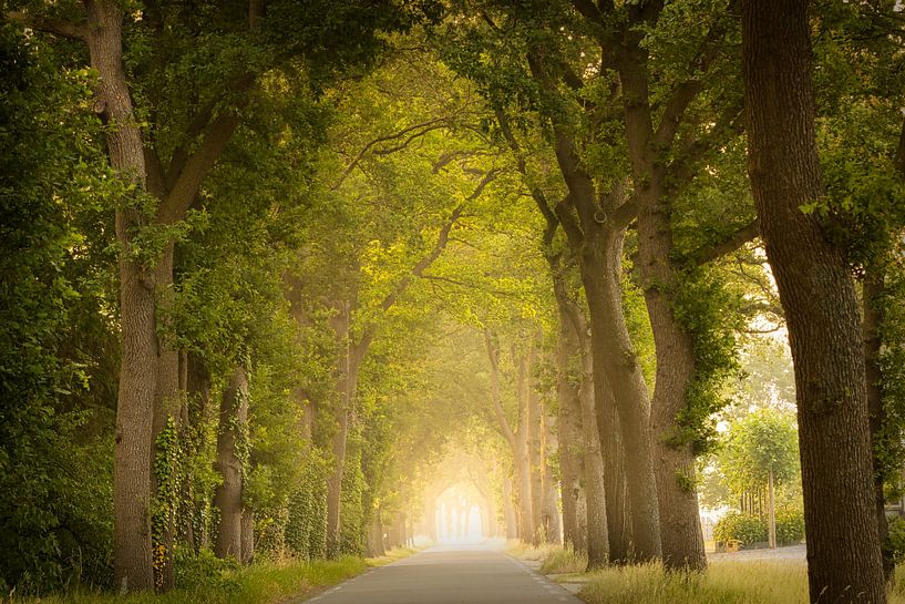 Mysterieuze weg in Drenthe van KB Design & Photography (Karen Brouwer)