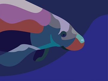 Colorful Manatee Artwork Fauna Ocean