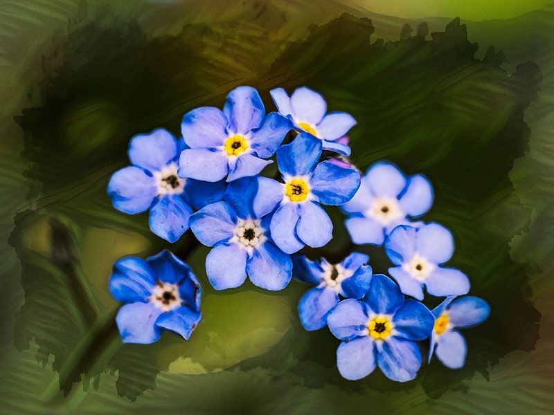 Don't Forget Me by Rob Boon