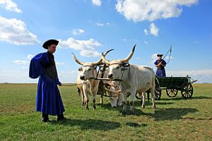 Cavaliers traditionnels sur la puszta