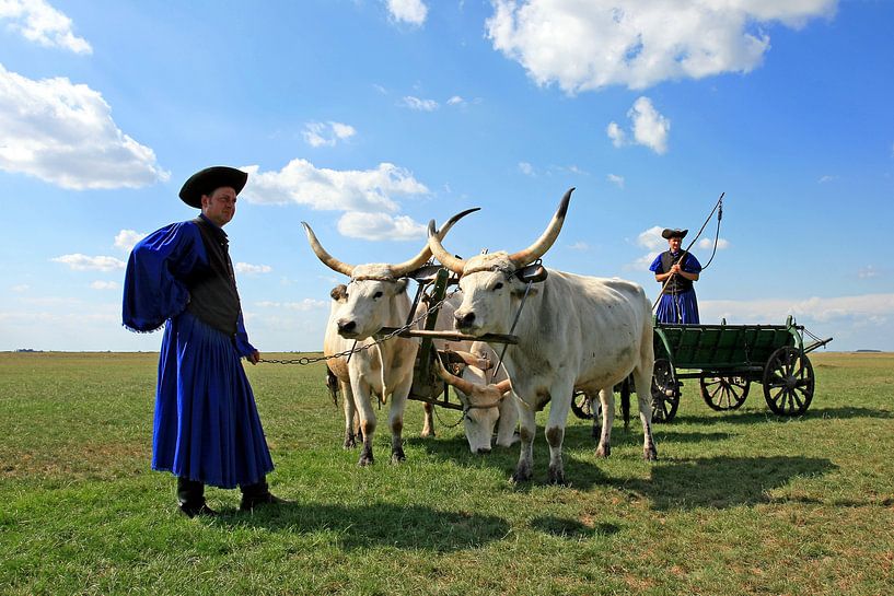 Traditionelle Reiter auf der Puszta von Antwan Janssen