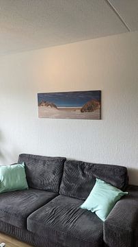 Kundenfoto: Panorama der Dünen und des Strandes von Terschelling von Anton de Zeeuw