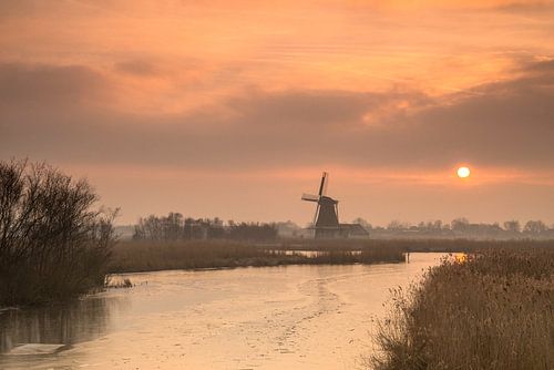 Hollands winterbeeld.