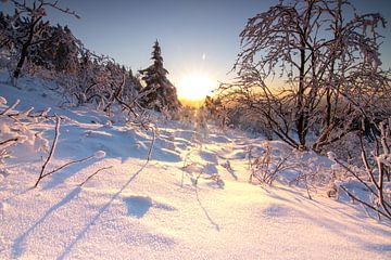 Winterlandschap met sneeuw en zonsondergang van Fotos by Jan Wehnert