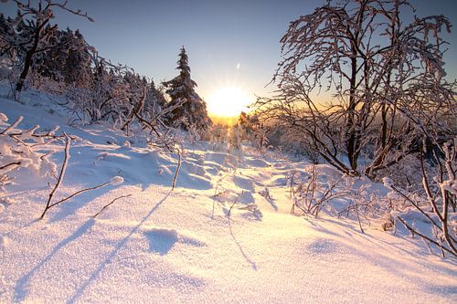 Winterlandschap met sneeuw en zonsondergang