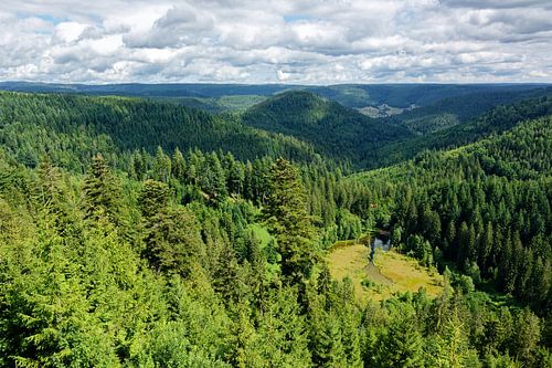 Vue sur Ellbachsee en Forêt-Noire sur Gisela Scheffbuch