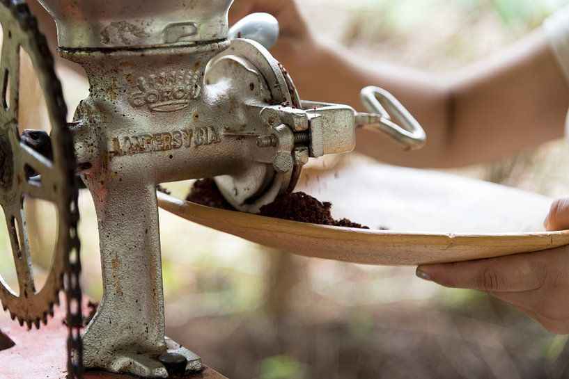 Broyage de fèves de cacao sur une bicyclette Costa Rica par Ohana