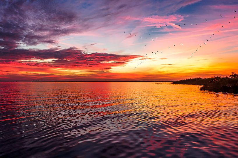 Zonsondergang Bodden met kranen van BLUE 7