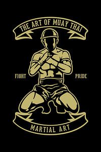 Muay Thai Boxing van Felix Brönnimann