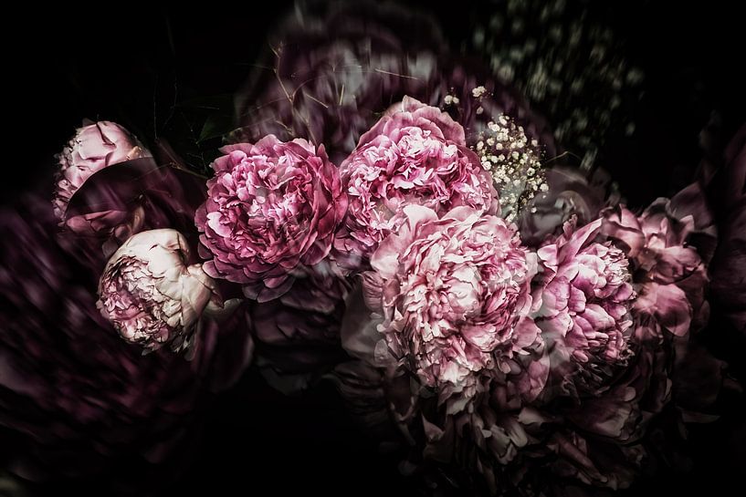 Peony Dream von marlika art