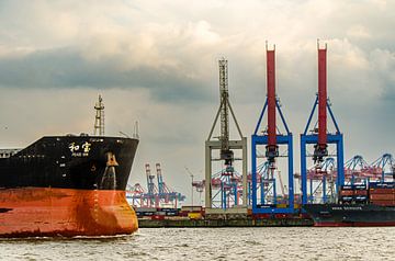 Boegvrachtschip en laadkranen in de haven van Hamburg met Elbe-rivier van Dieter Walther