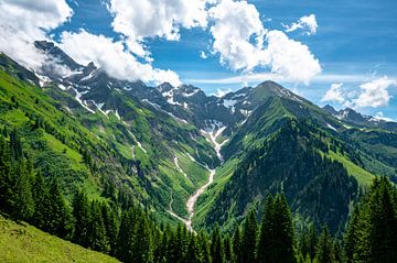 Allgäuer Alpen in de vroege zomer van Leo Schindzielorz