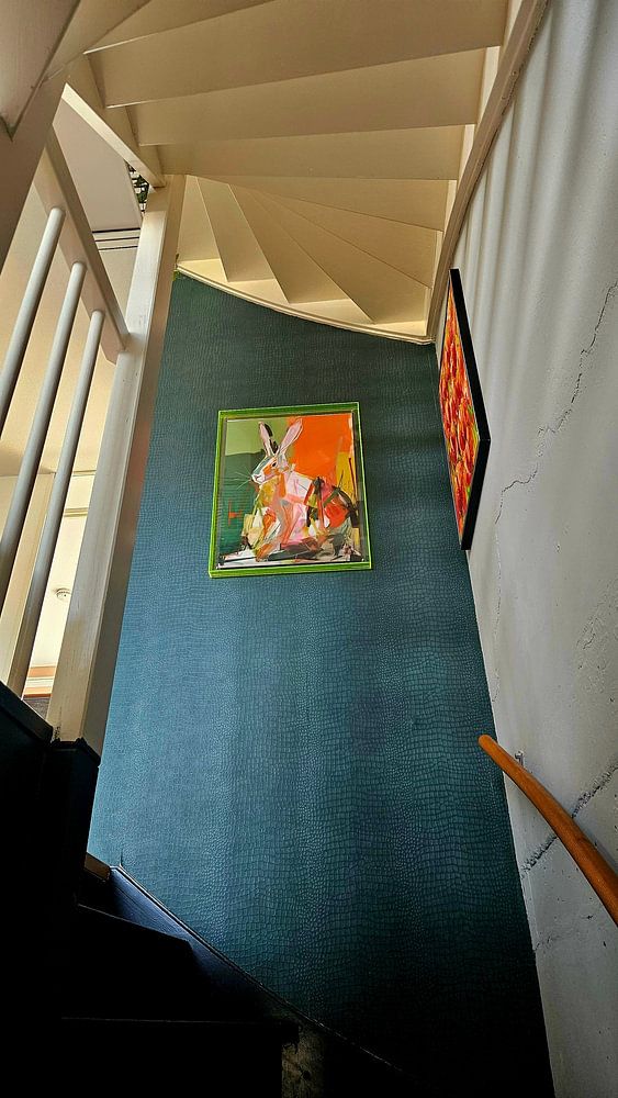 Colourful hare  by Studio Allee 