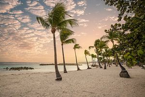 Einsamer Sandstrand auf den Französischen Antillen, Guadeloupe