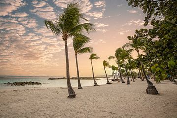 Einsamer Sandstrand auf den Französischen Antillen, Guadeloupe von Fotos by Jan Wehnert
