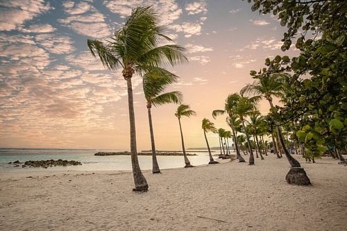 Eenzaam zandstrand op de Franse Antillen, Guadeloupe van Fotos by Jan Wehnert