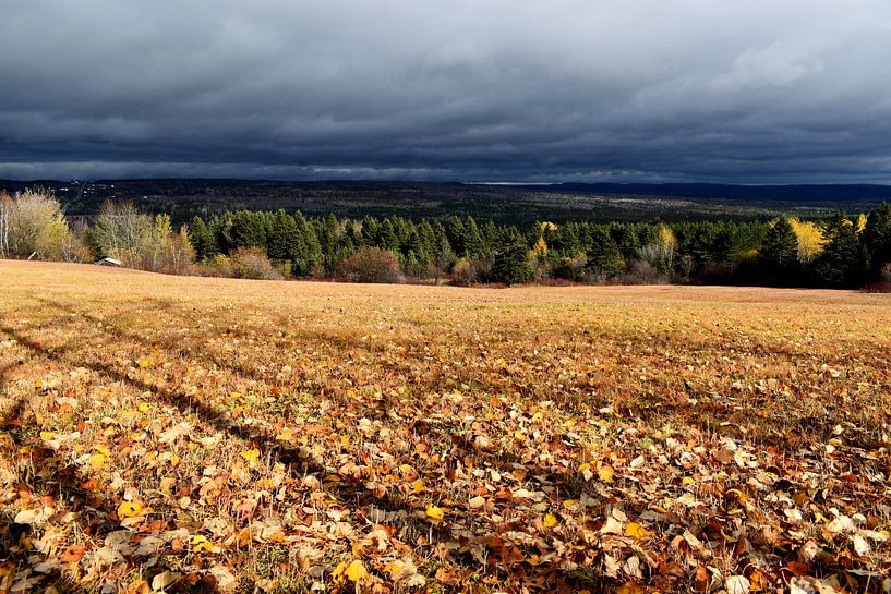 A field after the autumn harvest by Claude Laprise