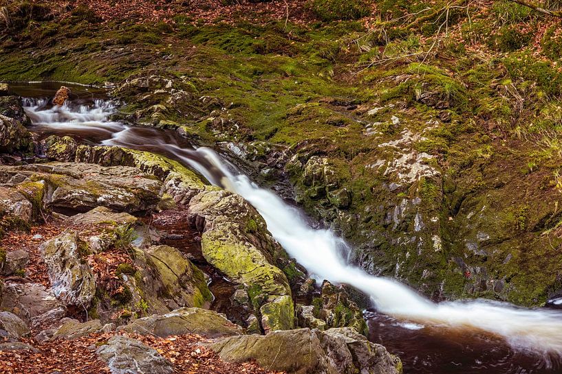 Mountain river La Hoëgne in the Belgian Ardennes by Rob Boon