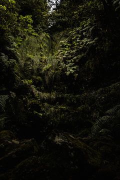 De levada's van Madeira