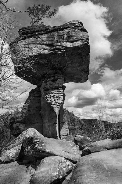 Der Teufelstisch | Dahner Felsland von Flatfield