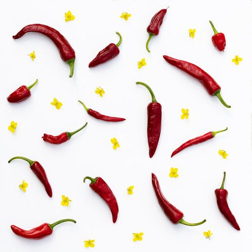 chillies and flowers