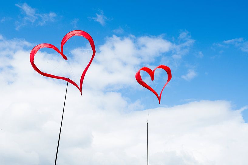 Liefde hangt in de lucht von Elles Rijsdijk