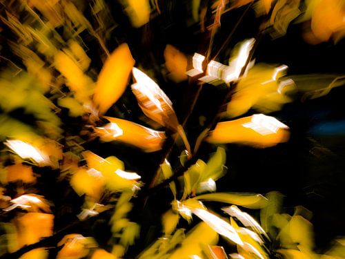 EVEIL DU PRINTEMPS # 45