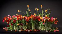 Tulpen stilleven van Dirk Verwoerd thumbnail
