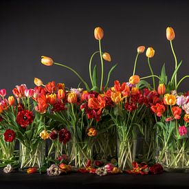 Tulips from Holland by Dirk Verwoerd