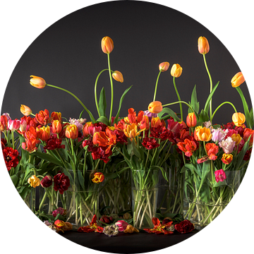 Tulpen stilleven van Dirk Verwoerd