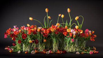 Tulpen stilleven van Dirk Verwoerd
