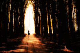 Marschieren bis zum Ende von Cho Tang