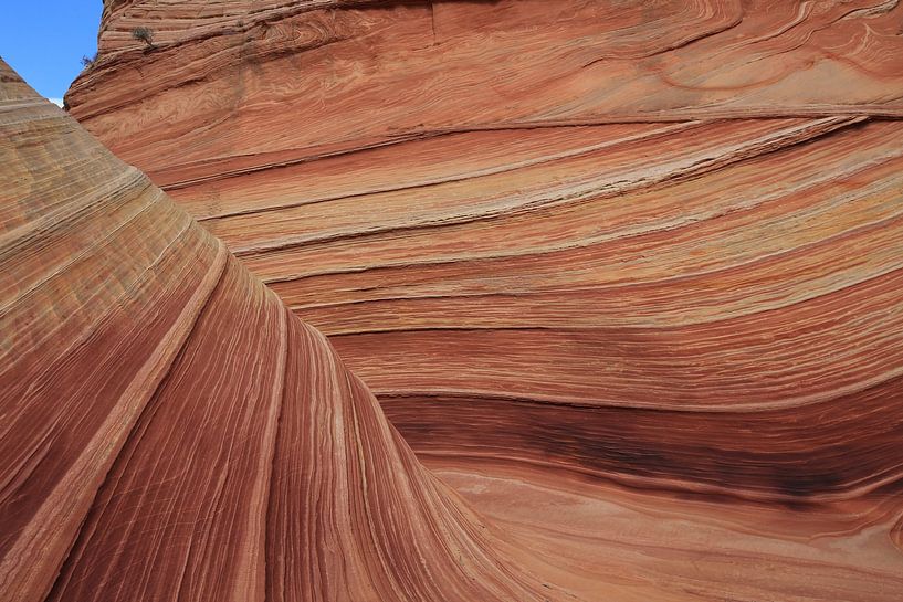 Rotsformaties in de North Coyote Buttes, deel van het Vermilion Cliffs National Monument. Dit gebied van Frank Fichtmüller