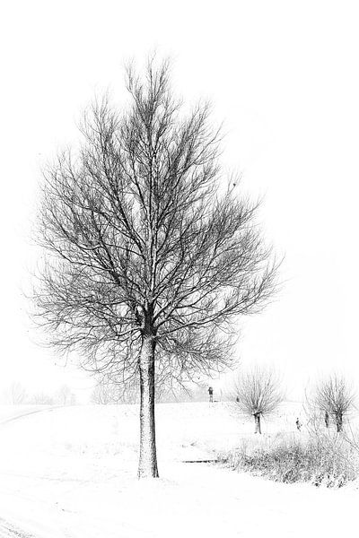 Winter in Nederland von Joke Beers-Blom