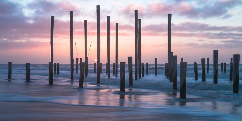 Palendorp Petten - 12 von Nuance Beeld