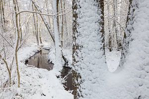 Creek in snowy forest sur Karla Leeftink