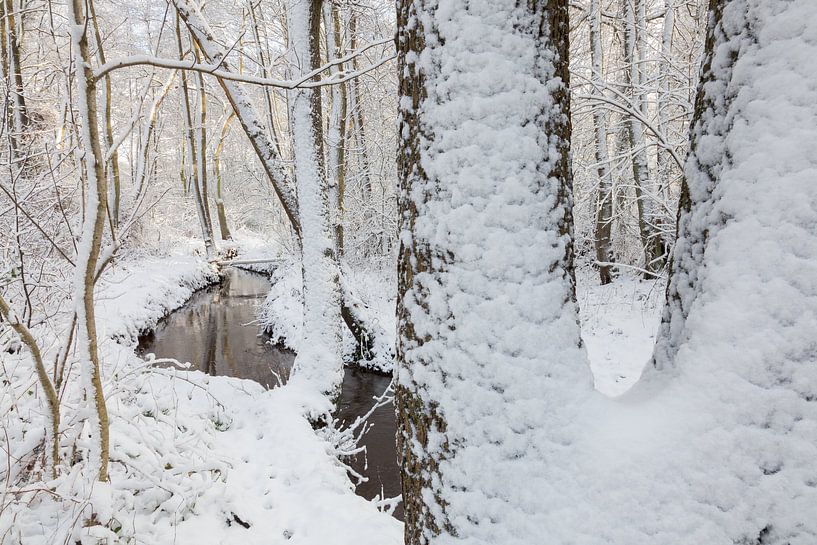 Creek in snowy forest von Karla Leeftink