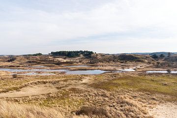 waterpoel Kennemerland van Merijn Loch